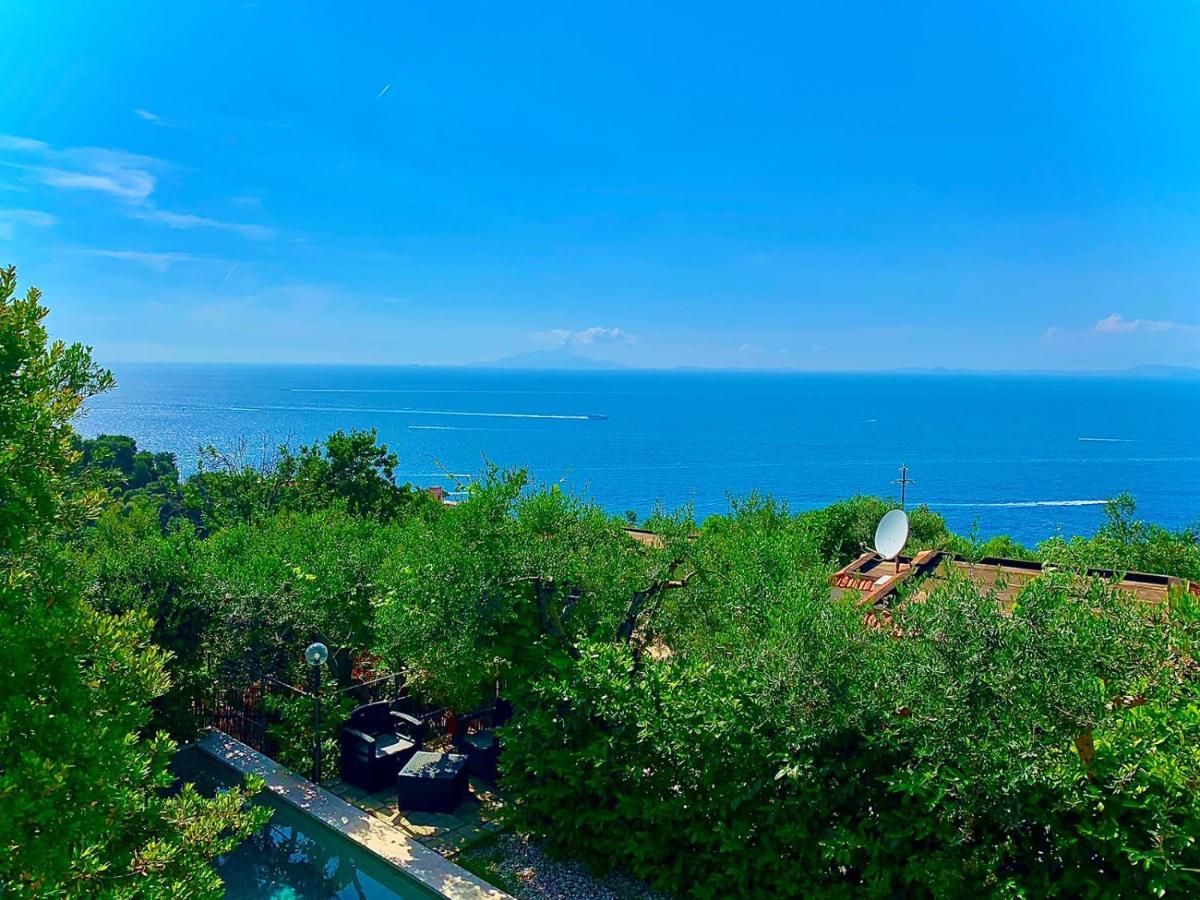 Amore Rentals - Casa Tatano Marciano Zewnętrze zdjęcie