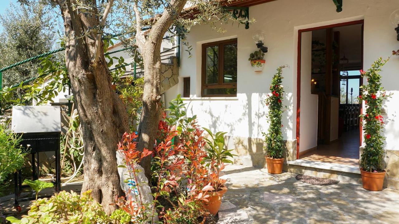 Amore Rentals - Casa Tatano Marciano Zewnętrze zdjęcie