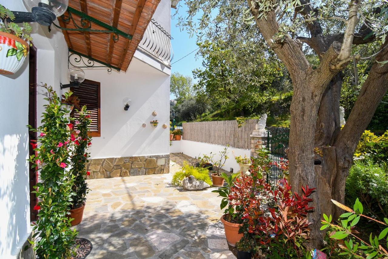 Amore Rentals - Casa Tatano Marciano Zewnętrze zdjęcie